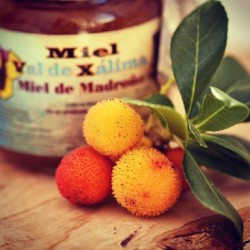  Miel de Madro&ntilde;o Val de X&aacute;lima 0,3 kg
