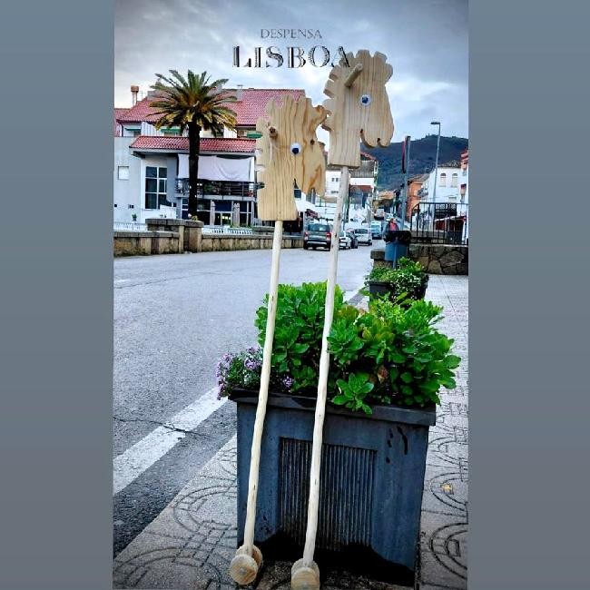 imagen_538_1