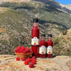 Vinagre De Frambuesa Saboresl del Guijo 250ml