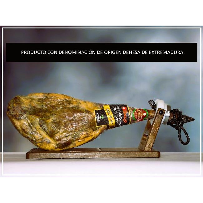 imagen_521_1